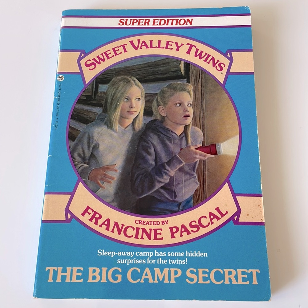 ✨2/$20✨ Sweet Valley Twins (Super Edition) The Big Camp Secret